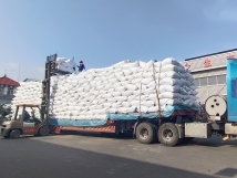 把握機(jī)遇、鉚足干勁、承勢而上