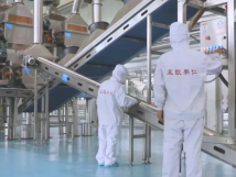 2025年的第一個月，承德亞歐果仁有限公司在山杏產(chǎn)業(yè)的道路上持續(xù)奮進(jìn)，展現(xiàn)出蓬勃的發(fā)展活力。